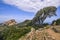 Scenic hike to the Cliffs of Capo Rosso, Corsica