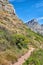 Scenic hiking trail along Table Mountain in Cape Town, South Africa with vibrant flowers and lush plants. Magnificent