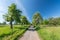 Scenic hiking trail through green meadows in rural landscape in spring