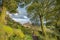 Scenic Hillside at Warm Summer Day in Peak District