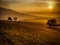 Scenic hilly landscape with solitary trees during sunset