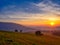 Scenic hilly landscape with solitary trees during sunset