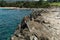 Scenic Honokahua bay vista with Dragon\\\'s Teeth rocks in the foreground, Maui, Hawaii