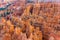 scenic hoodos in Bryce canyon