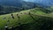 Scenic of idyllic rolling hills landscape with blooming meadows and mountain ranges in the background