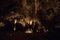 Scenic illuminated cave in Carlsbad Caverns National Park