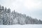 Scenic image of spruces tree. Frosty day, calm wintry scene. Ski resort. Great picture of wild area. Explore the beauty of earth.