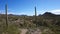 Scenic inside the Arizona-Sonora Desert Museum