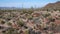 Scenic inside the Arizona-Sonora Desert Museum