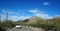 Scenic inside the Arizona-Sonora Desert Museum