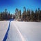 Scenic instagram of snowmobile tracks in snow