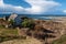 Scenic irish landscape with old irish cottage