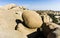 Scenic Jumbo rock in Joshua Tree National Park