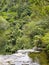 Scenic Kaituna River, Rotorua  in the tropical forest in New Zealand