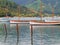 Scenic Kenepuru Sound images clinker sailing boats with masts moored together