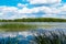 Scenic lake marsh in rural lithuania