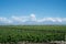 Scenic Landscape with Andes Mountains with Snow and Vineyard on