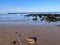 Scenic landscape of a beach with a shoreline of jagged rocks and water lapping against them