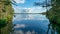 Scenic landscape with blue bog lakes surrounded by small pines and birches and green mosses on a summer day with blue skies and.