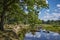 Scenic landscape with calm river and green vegetation