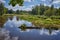 Scenic landscape with calm river and green vegetation