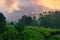 Scenic landscape of Central plateau in Sri Lanka