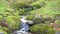 Scenic landscape with clear water stream among thick moss and lush vegetation. Mountain creek on mossy slope with fresh