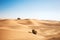 Scenic landscape with desert plant and buggy quad car