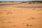 Scenic landscape of empty desert sands