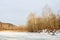 Scenic landscape of a frozen lake and forest in winter