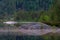 Scenic landscape of a lake reflecting the surrounding lush vegetation and large stones on the shore