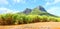 Scenic landscape on Mauritius Island.
