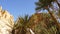 Scenic landscape with palm trees and rocks with blue sky