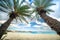 Scenic landscape of palm trees, turquoise water and tropical beach, Vai, Crete.