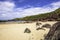 Scenic landscape of Pembrokeshire coast, Uk.Sandy beach with few