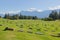 Scenic Landscape People Cemetery