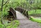 Scenic landscape of a rustic bridge on a forest pathway.