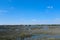 Scenic Landscape of South Carolina Low Country