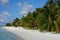 Scenic landscape of sunny tropical ocean beach shoreline with white sand, coconut palm trees and blue sky. Idyllic scenery of seas