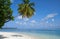 Scenic landscape of sunny tropical ocean beach with white sand, coconut palm tree and blue sky. Idyllic scenery of seaside resort.