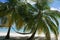 Scenic landscape of sunny tropical ocean beach with white sand, palm trees, blue sky and hammock. Idyllic scenery of seaside resor