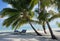 Scenic landscape of sunny tropical ocean beach with white sand, palm trees, blue sky and lounge chairs. Idyllic scenery of seaside