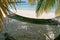 Scenic landscape of sunny tropical ocean beach with white sand, palm trees and a hammock. Idyllic scenery of seaside resort. Exoti