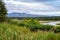 Scenic landscape of tall grasses, the Brooks, River, mountains and sky, Katmai National Park, Alaska