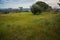 Scenic landscape with trees at Mount Filerimos on Rodos island