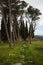 Scenic landscape with trees at Mount Filerimos on Rodos island