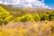 Scenic landscape view on the overgrown rocky mountains in Cilento and Vallo di Diano National Park in Campania region in Italy.