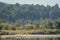 Scenic landscape view of Ramganga River and mountains at dhikala zone of corbett national park or tiger reserve uttarakhand india