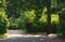 Scenic landscape view of winding cobblestone trails through the green leaves trees on a sunny day