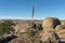 Scenic lanscape at  the city of Rocks state park in New Mexico